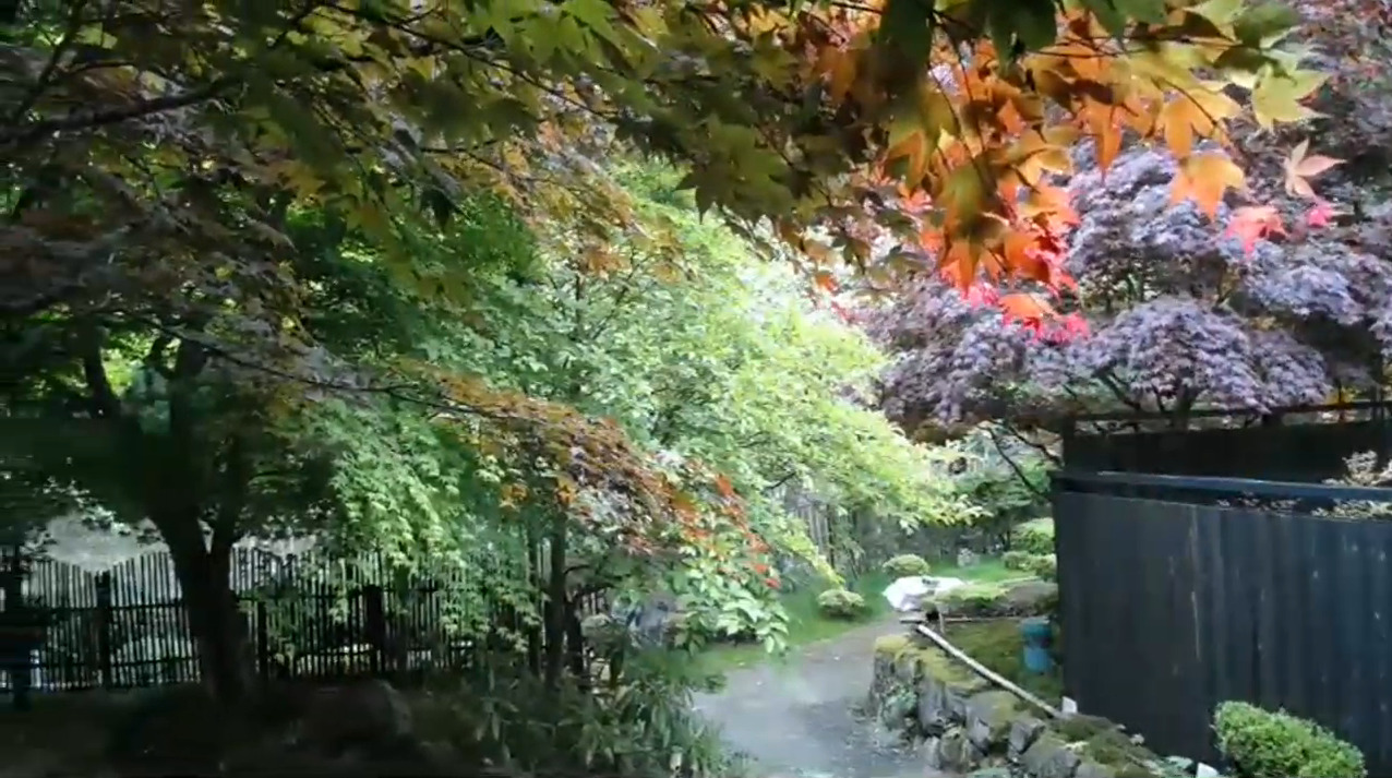 芹生庵庭園ライブカメラ(京都府京都市右京区京北芹生町)