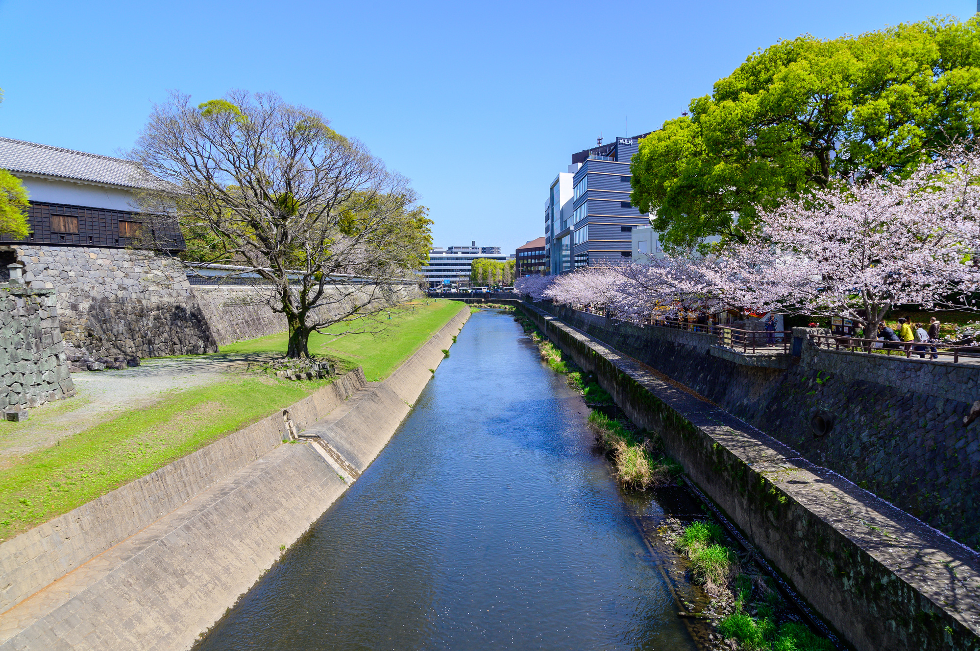 坪井川(坪井川水系)ライブカメラ一覧