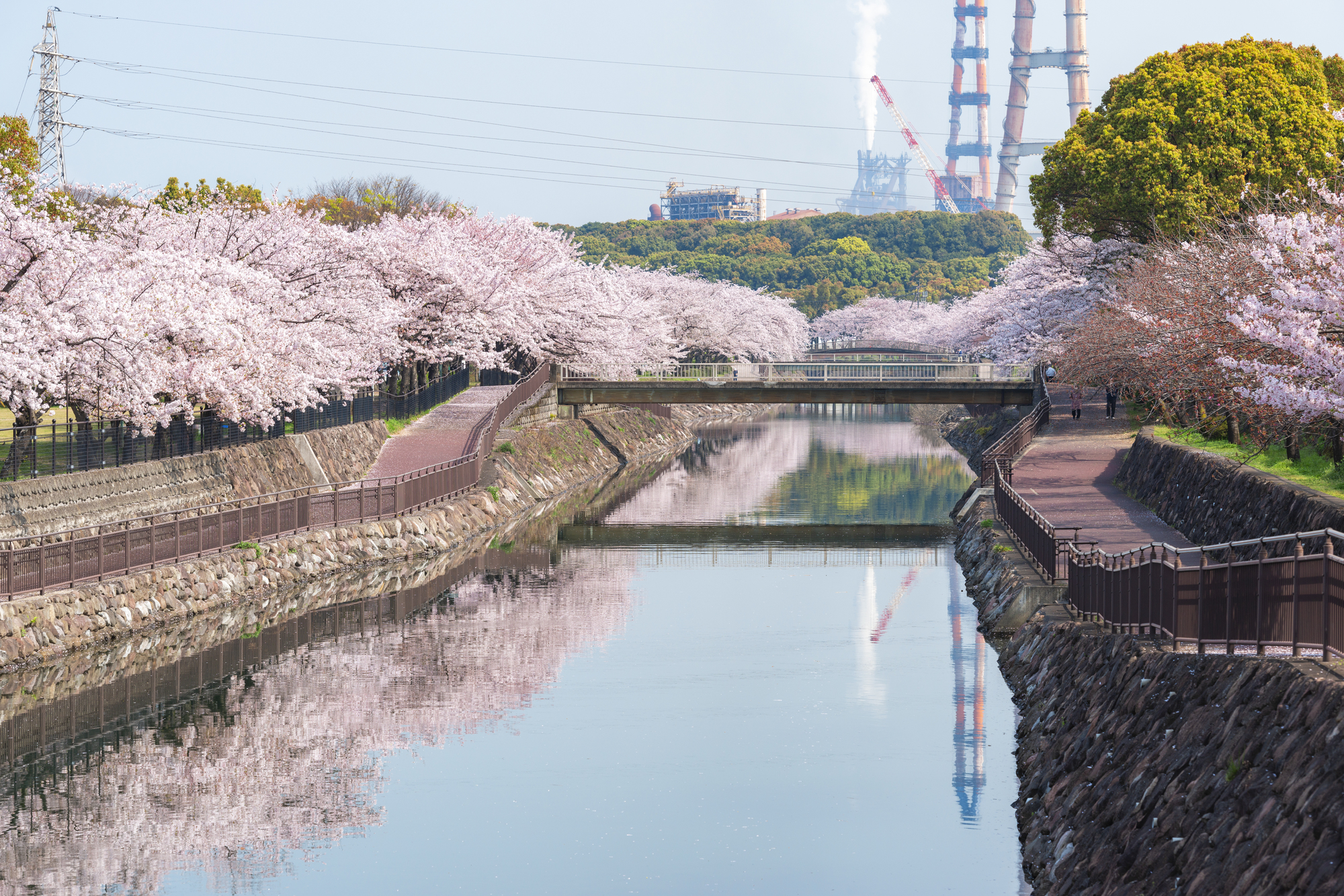 裏川(大分川水系)ライブカメラ一覧