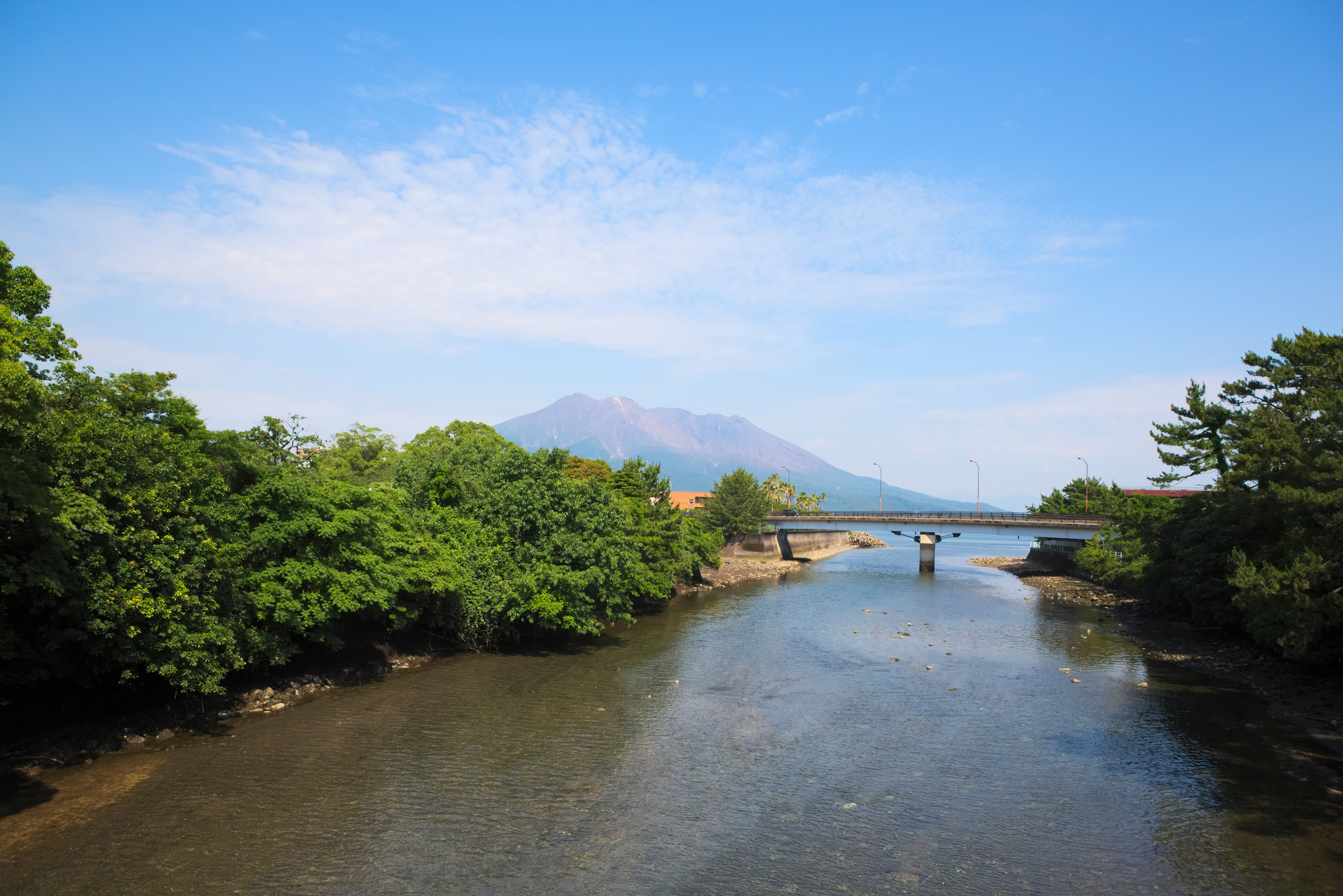 稲荷川(稲荷川水系)ライブカメラ一覧