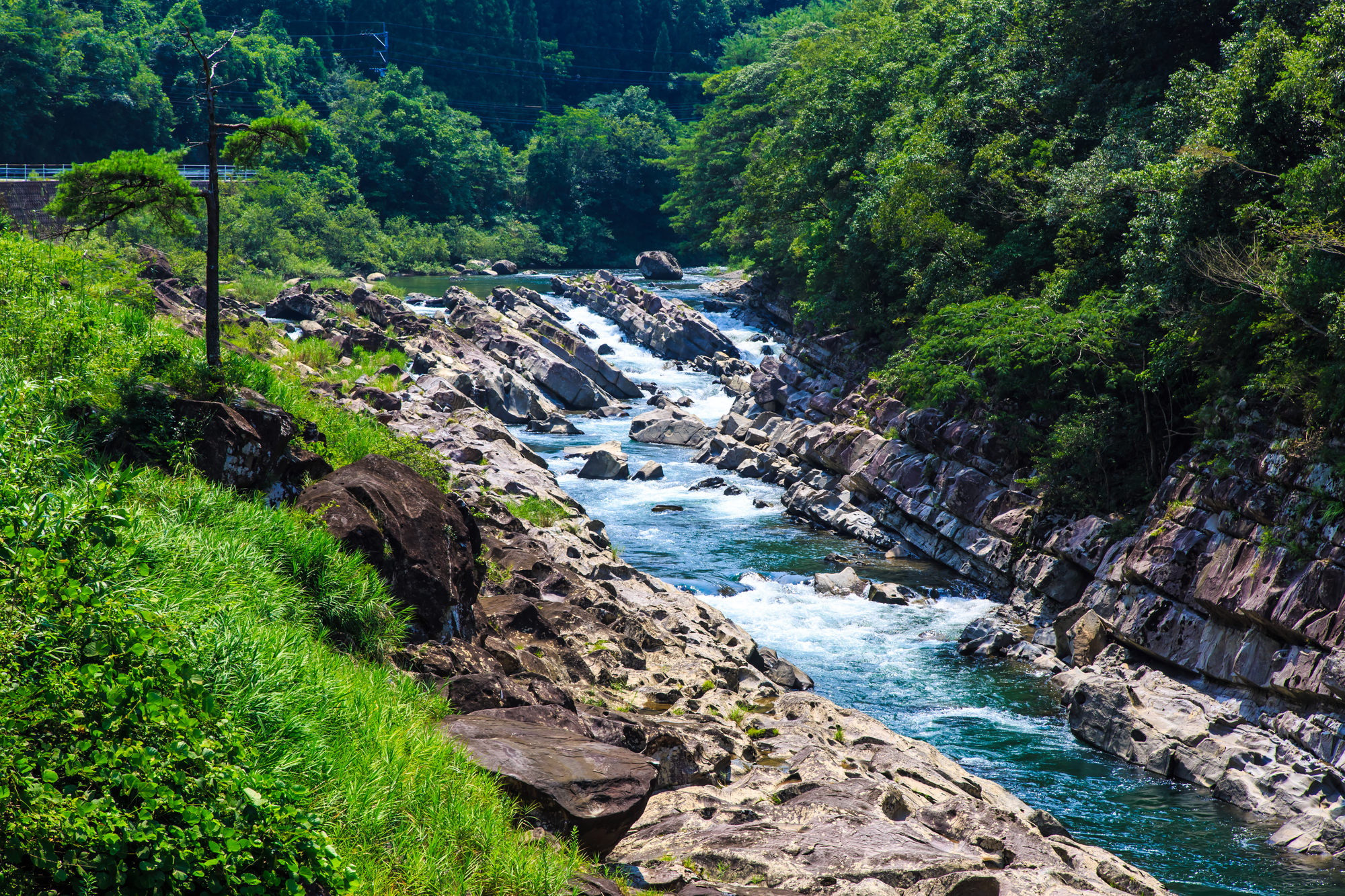 五十鈴川(五十鈴川水系)ライブカメラ一覧