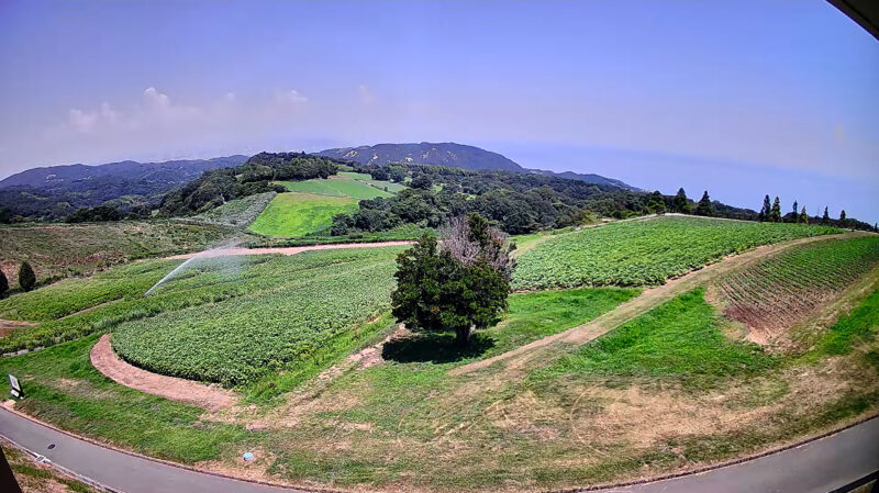 あわじ花さじき生の花園方向ライブカメラ(兵庫県淡路市楠本)