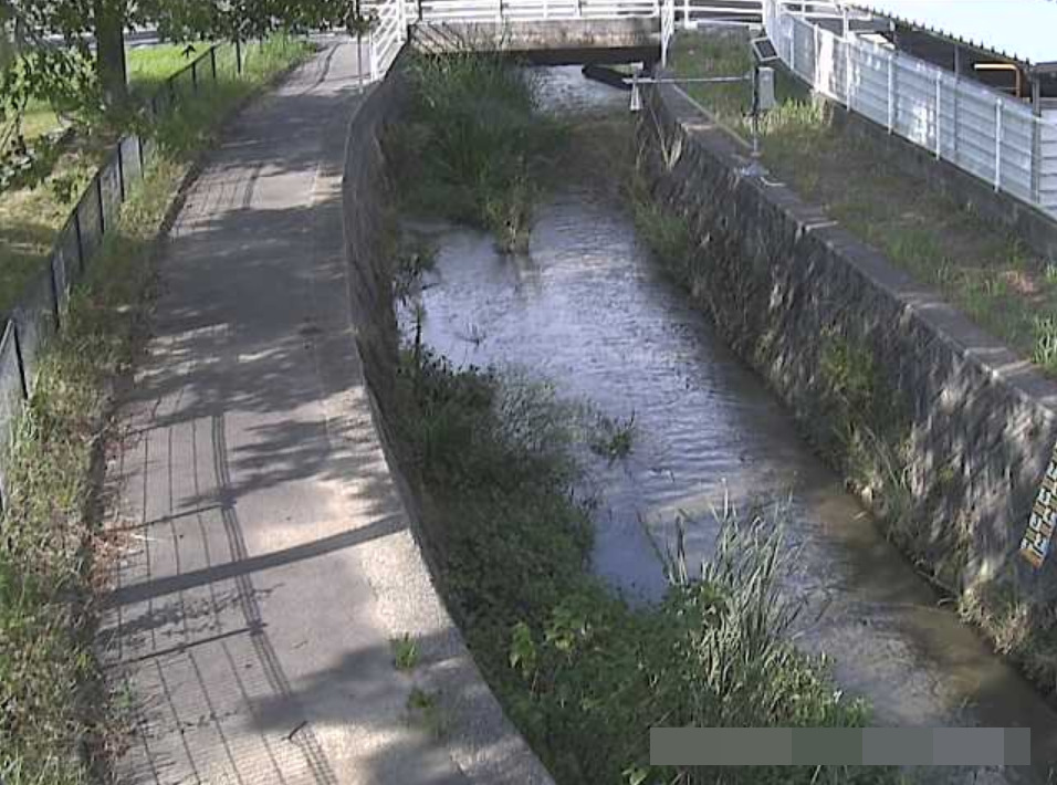 朽網川朽網中央公園ライブカメラ(福岡県北九州市小倉南区)