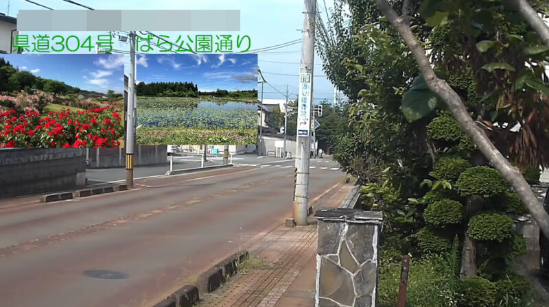 スガイばら公園通りライブカメラ(山形県村山市楯岡荒町)