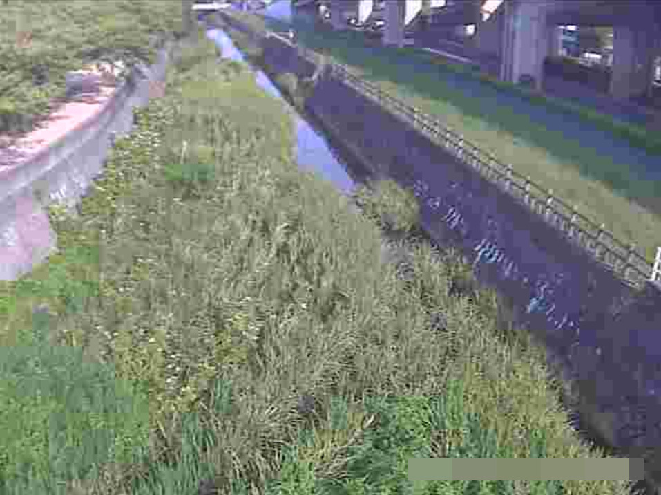 竹馬川になた橋上流ライブカメラ(福岡県北九州市小倉南区)