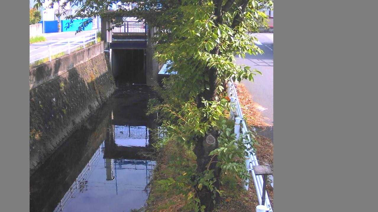 大門ポンプ場取水口ライブカメラ(愛知県岡崎市大樹寺)