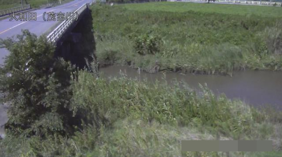 茂宮川大和田ライブカメラ(茨城県日立市大和田町)
