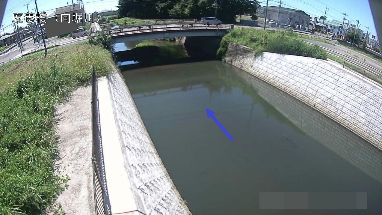 向堀川鹿養橋ライブカメラ(茨城県古河市上辺見)