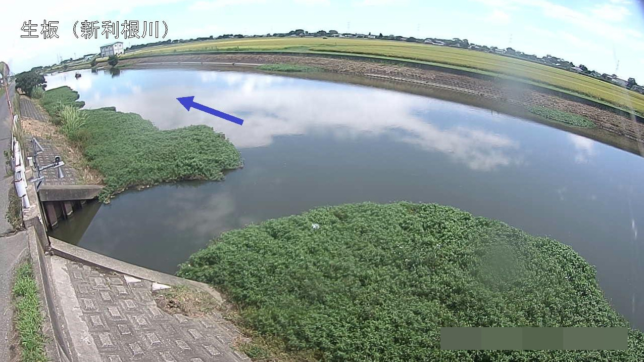 新利根川生板ライブカメラ(茨城県河内町生板)