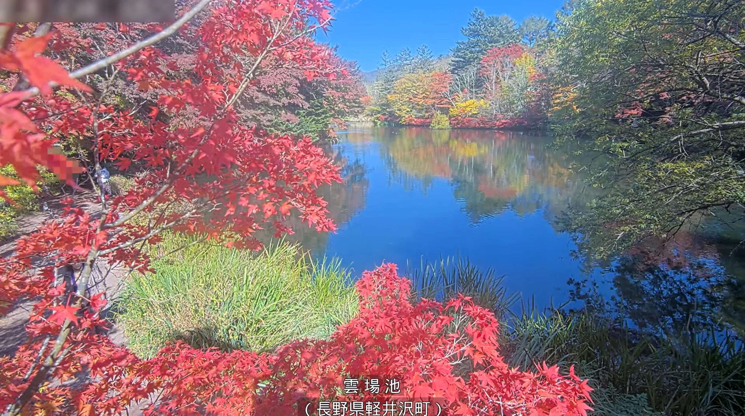 雲場池ライブカメラ(長野県軽井沢町軽井沢)
