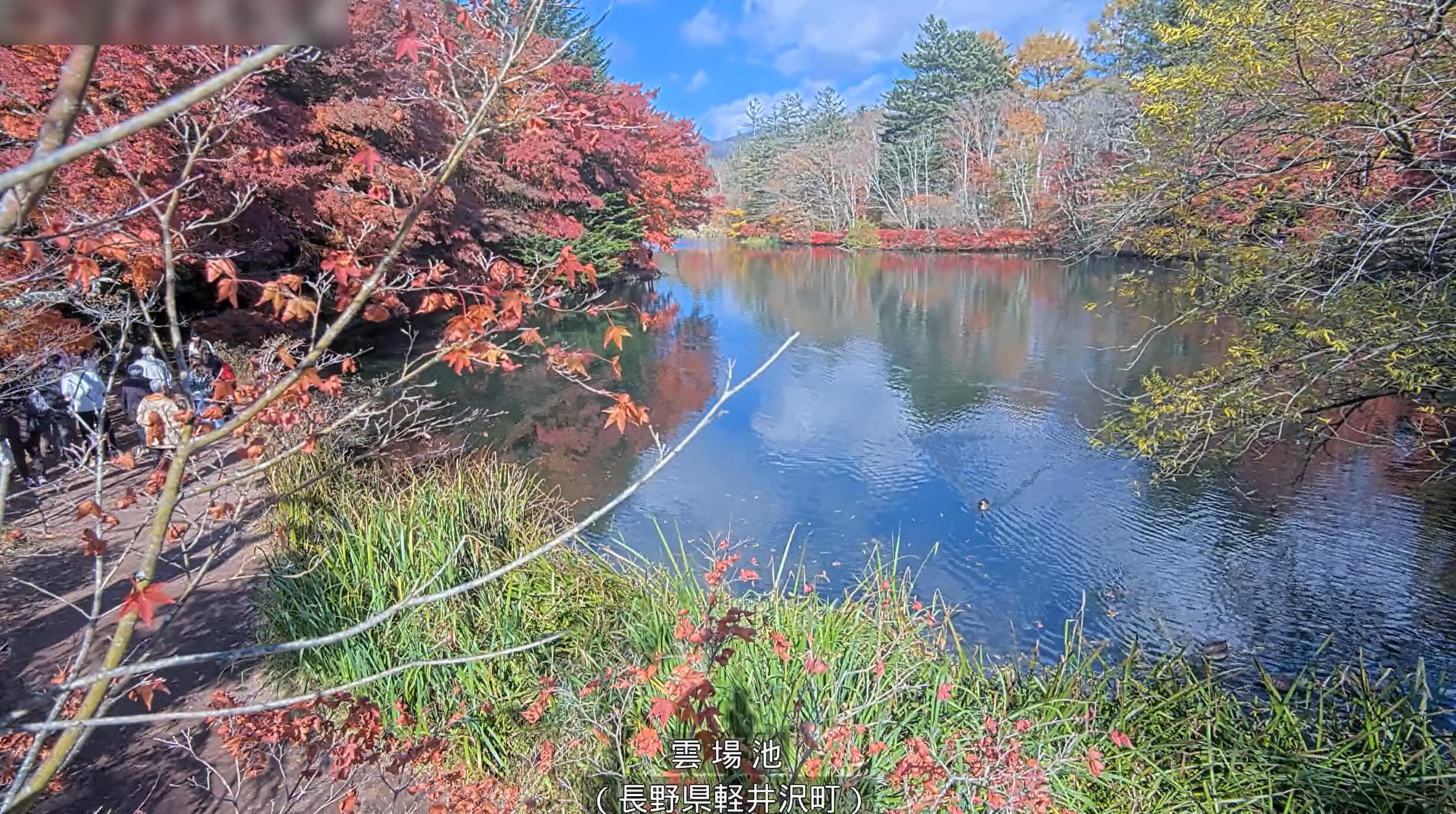 雲場池ライブカメラ(長野県軽井沢町軽井沢)