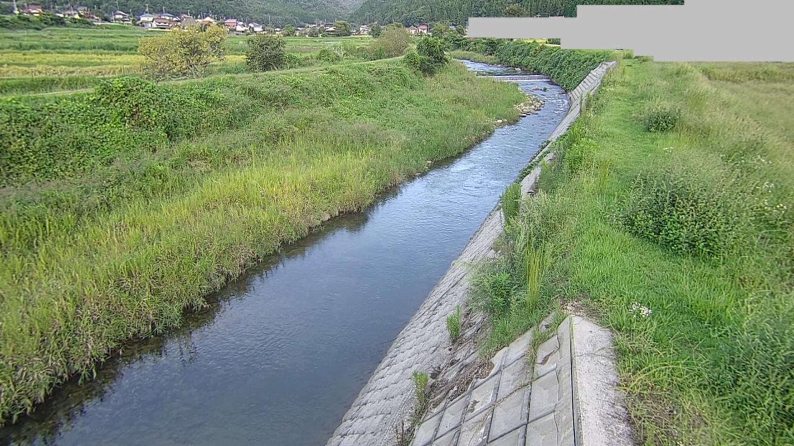 三篠川向原町坂ライブカメラ(広島県安芸高田市向原町坂)