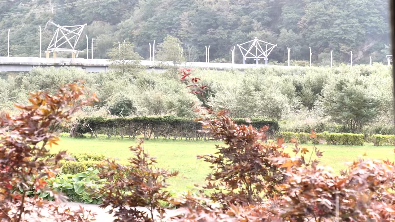 西法寺静内川シベチャリの橋ライブカメラ(北海道新ひだか町静内青柳町)