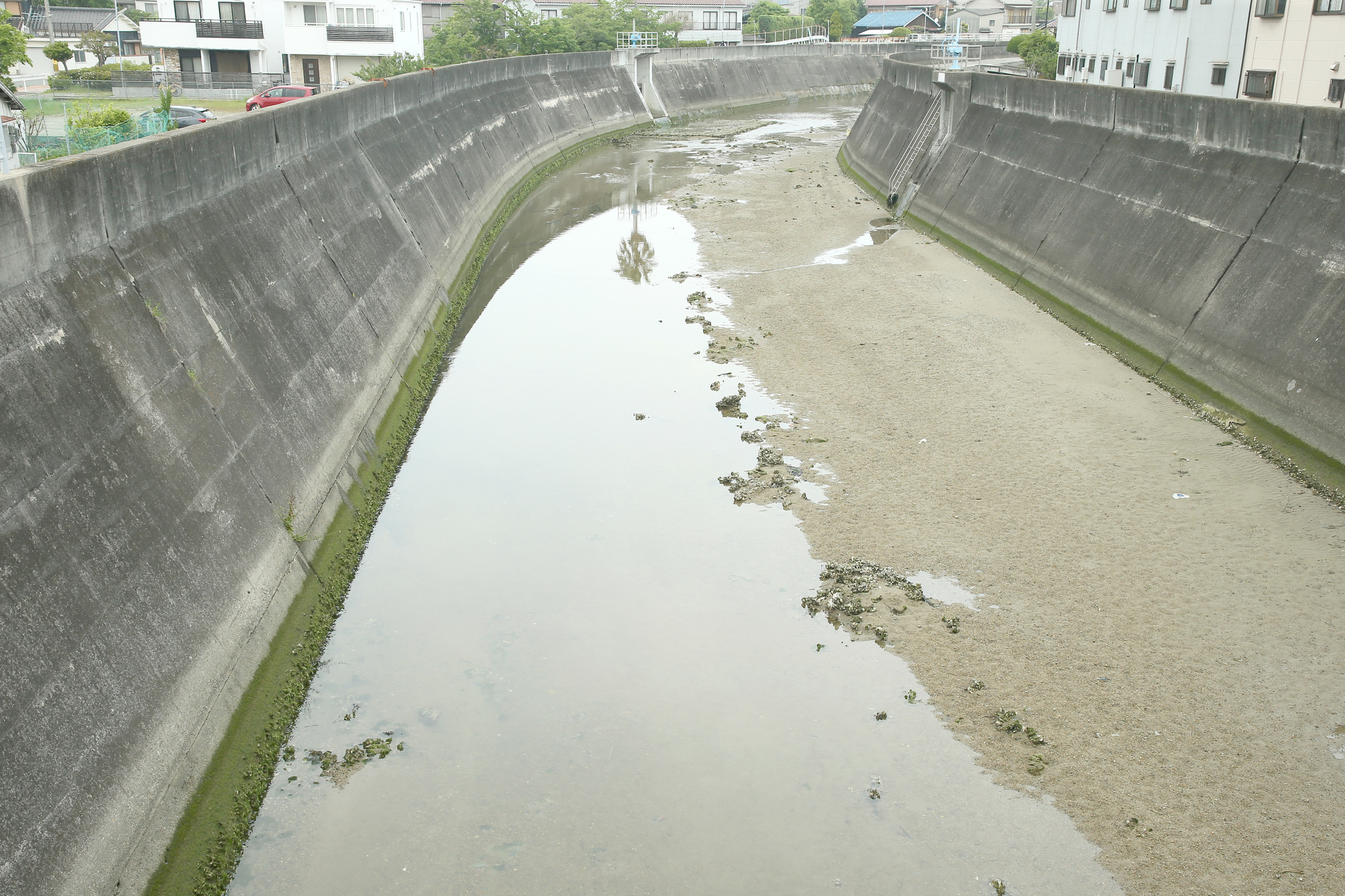 赤根川(赤根川水系)ライブカメラ一覧