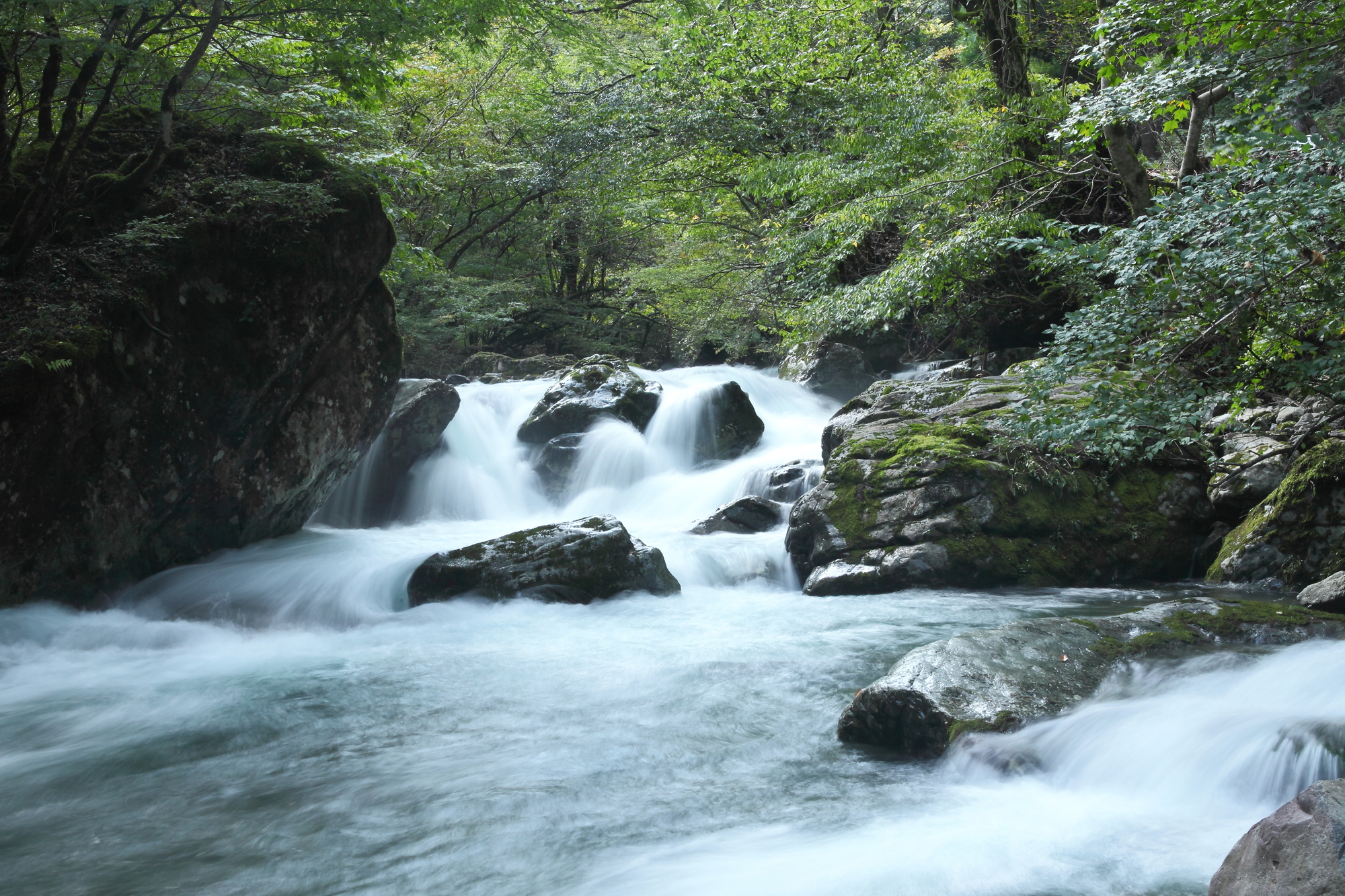 赤西川(揖保川水系)ライブカメラ一覧