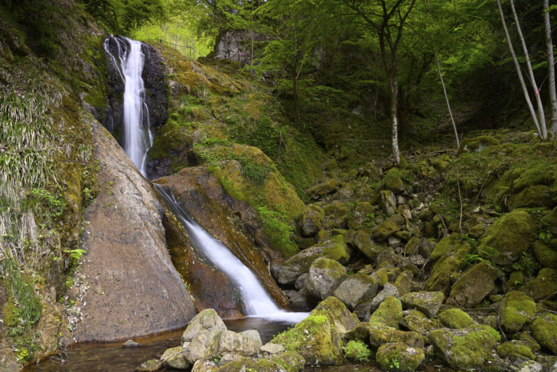 粟鹿川(円山川水系)ライブカメラ一覧