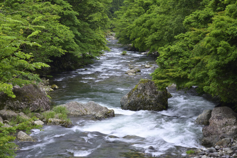 引原川(揖保川水系)ライブカメラ一覧