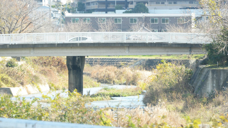 伊川(明石川水系)ライブカメラ一覧