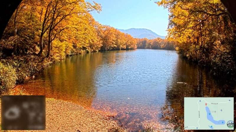 鎌池ライブカメラ(長野県小谷村中土)