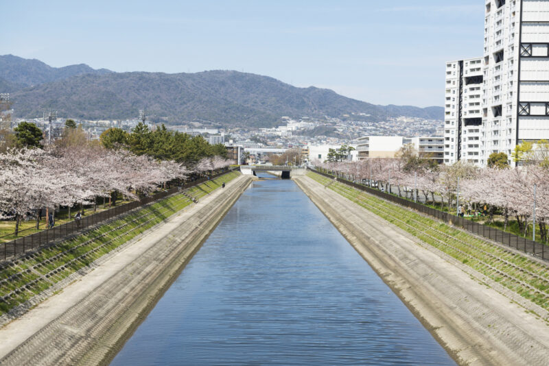 宮川(宮川水系 - 兵庫県)ライブカメラ一覧