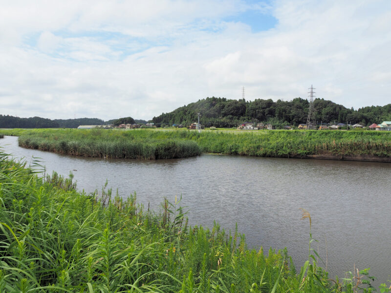 小野川放水路(円山川水系)ライブカメラ一覧