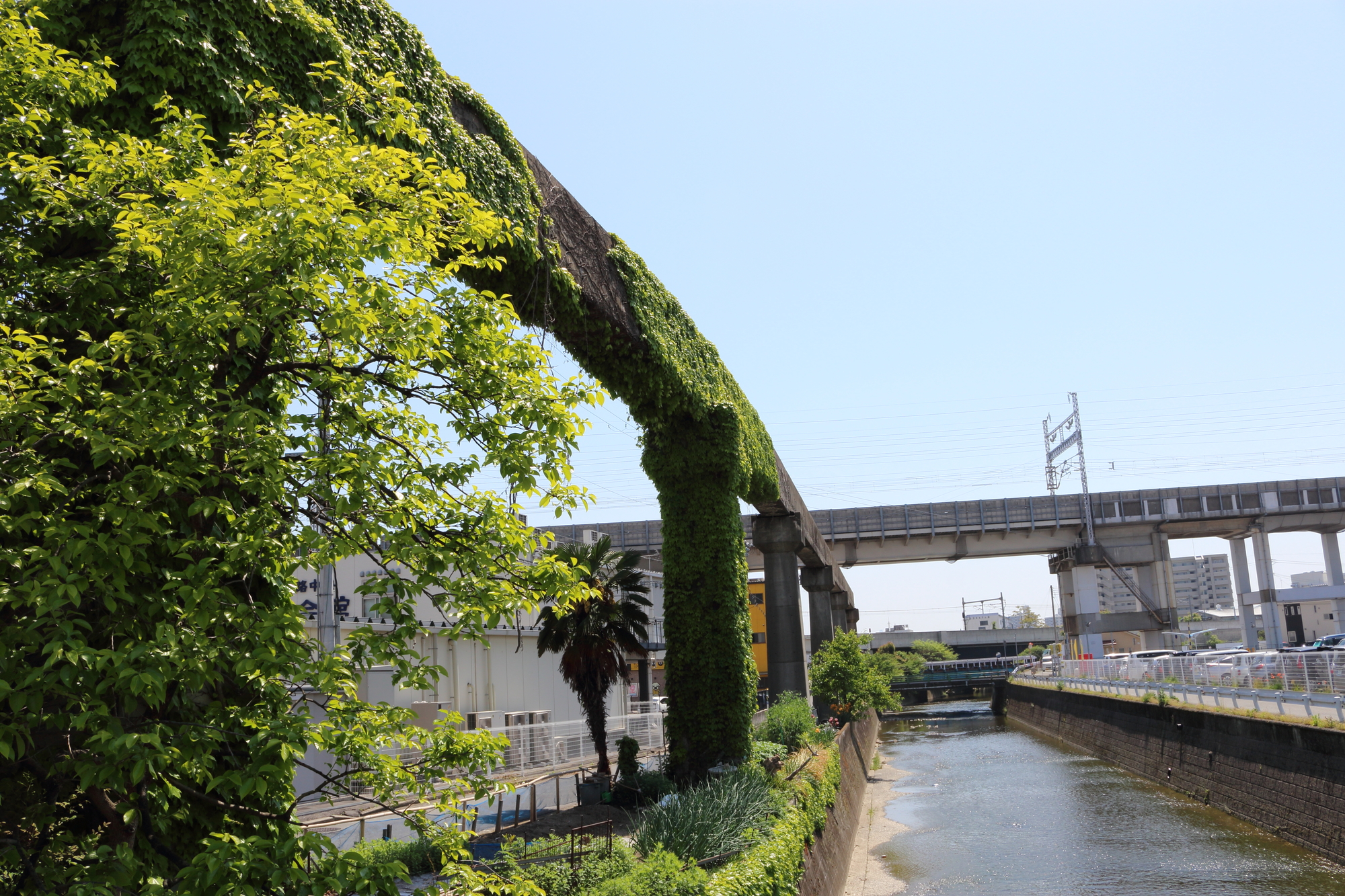 船場川(船場川水系)ライブカメラ一覧