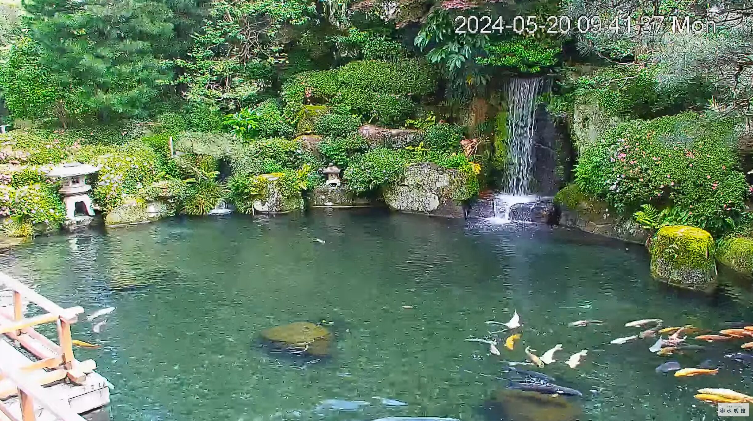 水明館日本庭園ライブカメラ(岐阜県下呂市幸田)