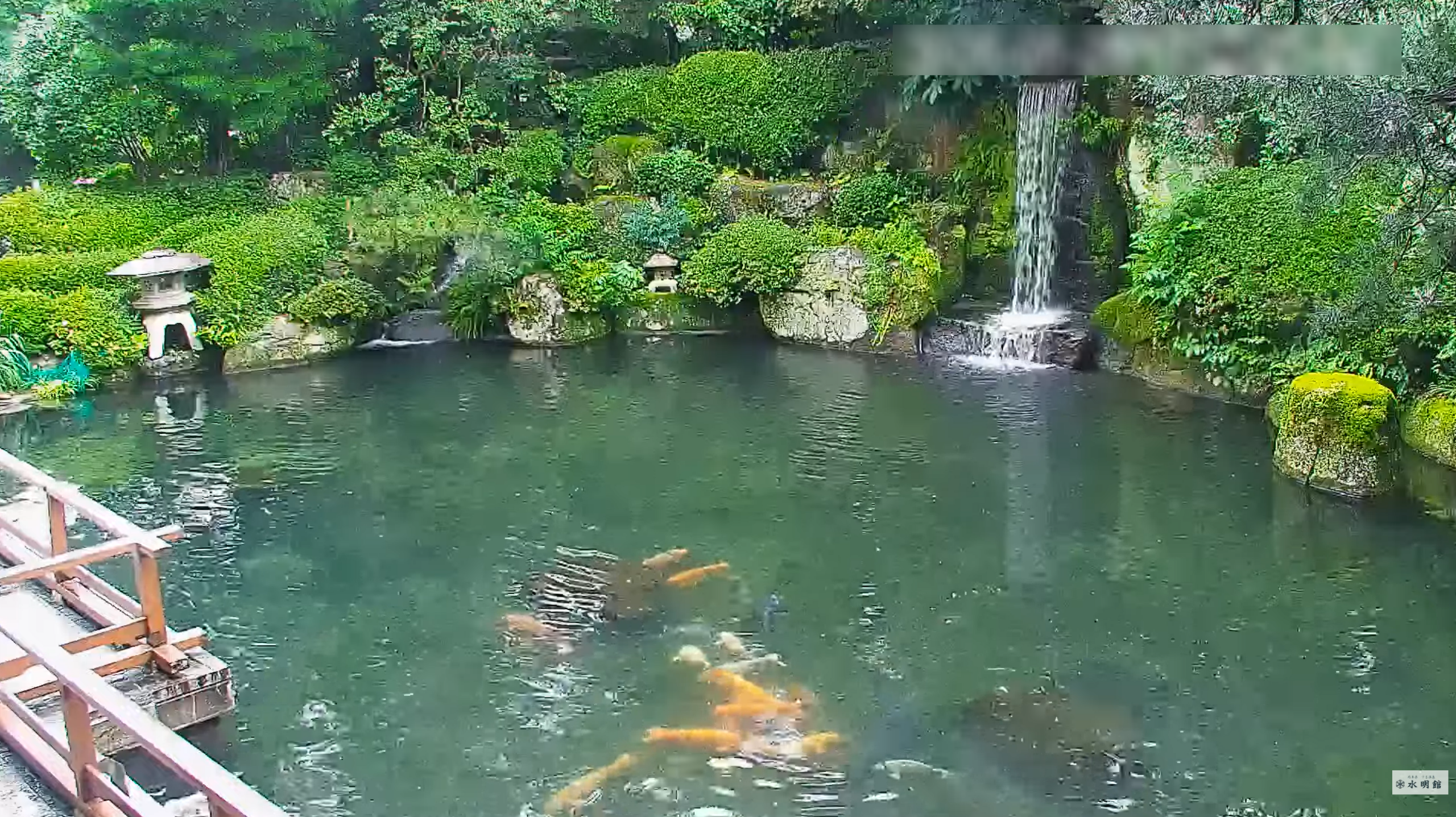 水明館日本庭園ライブカメラ(岐阜県下呂市幸田)