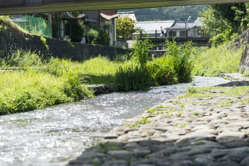 谷山川(円山川水系)ライブカメラ一覧