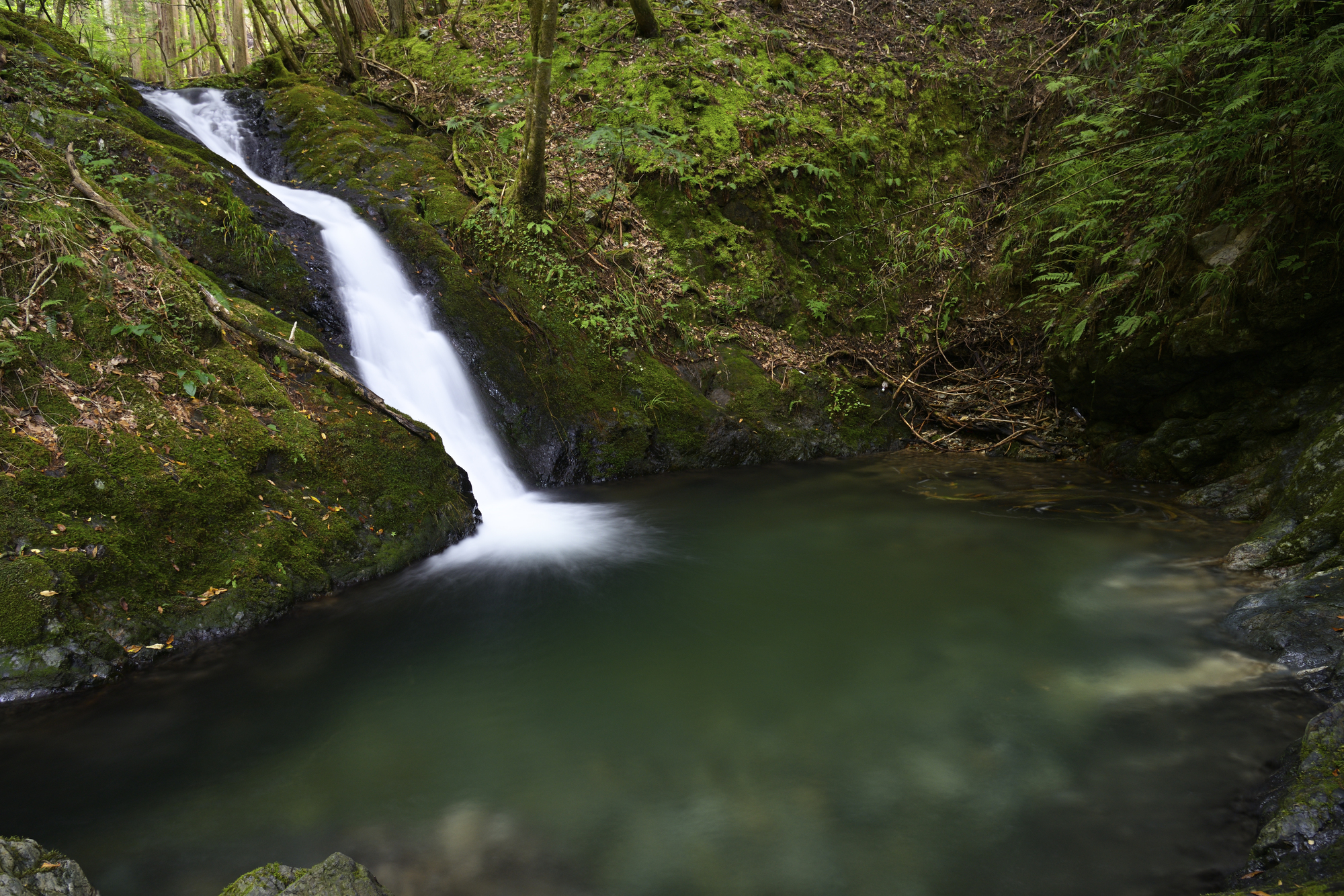 乙屋川(円山川水系)ライブカメラ一覧