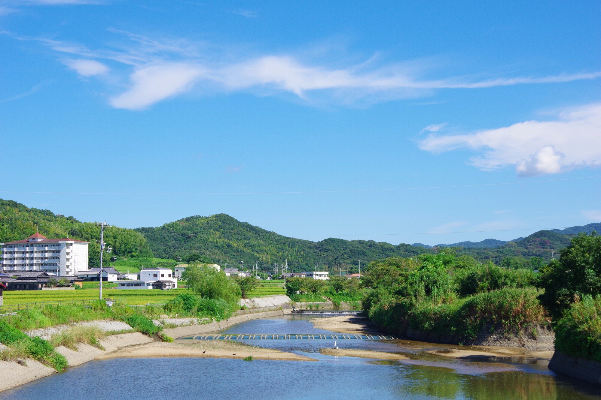 都志川(都志川水系)ライブカメラ一覧