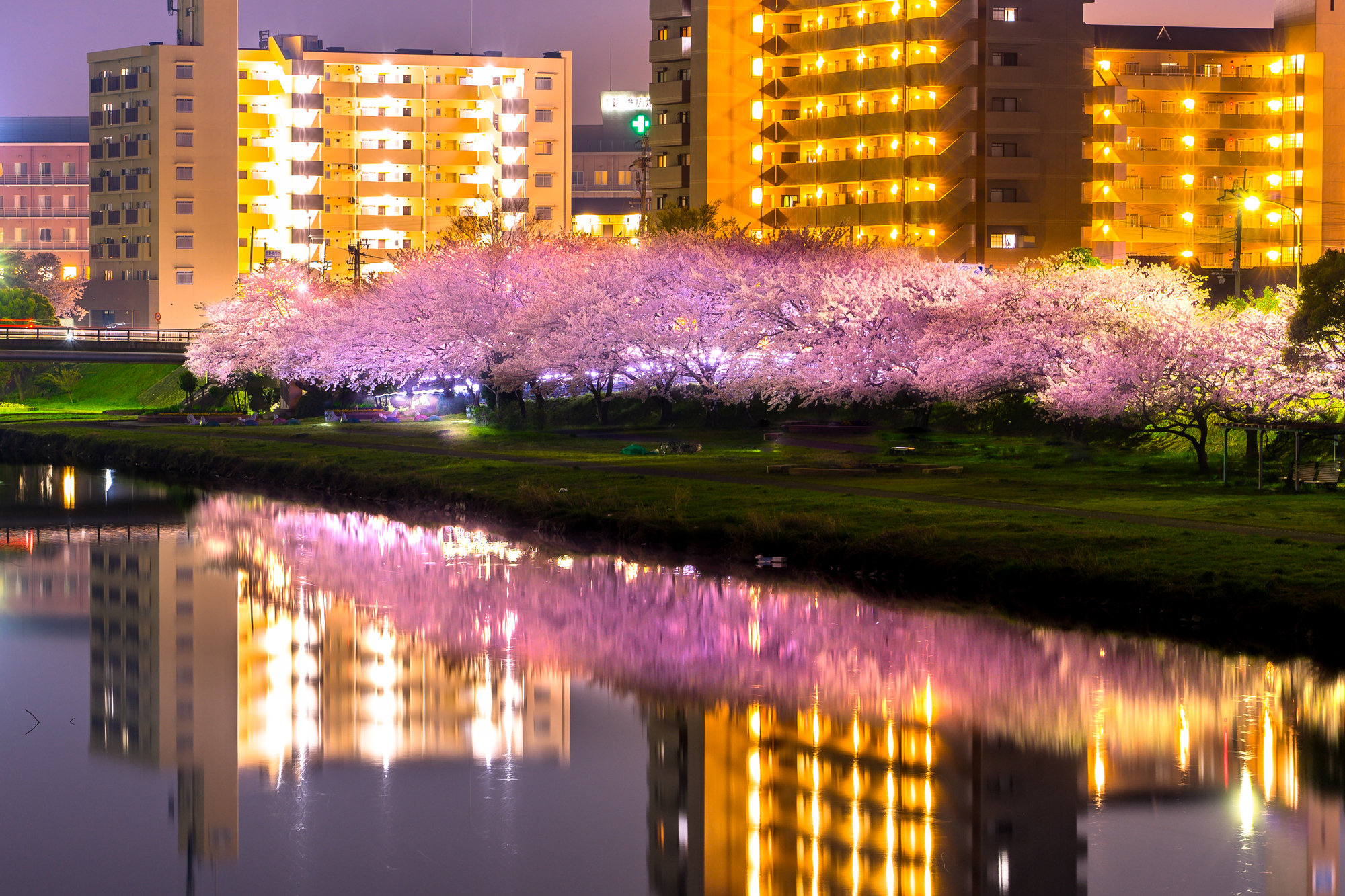 夢前川(夢前川水系)ライブカメラ一覧