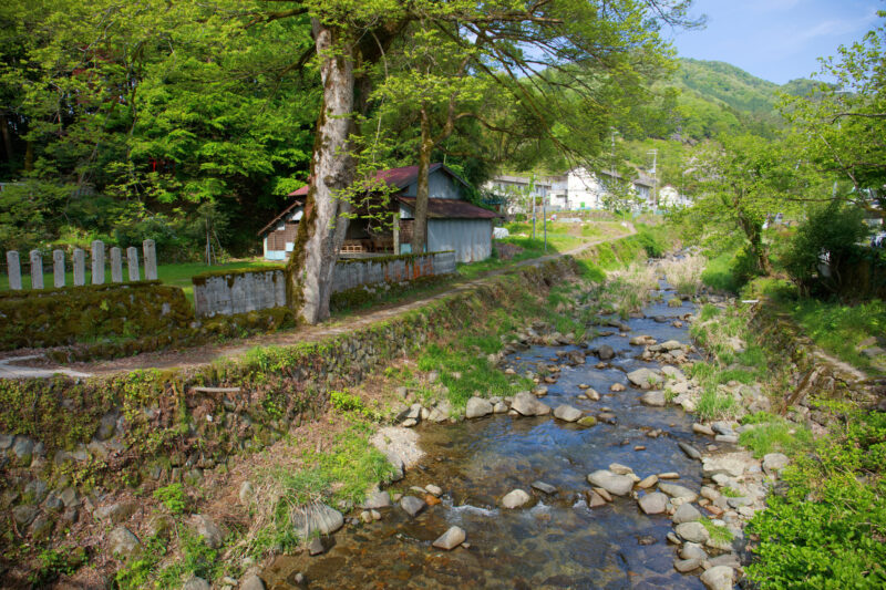 八木谷川(円山川水系)ライブカメラ一覧