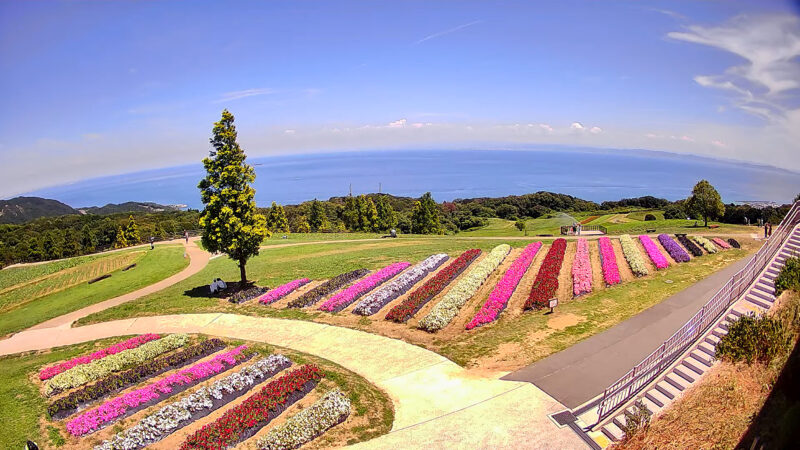あわじ花さじき天空の小径方向ライブカメラ(兵庫県淡路市楠本)