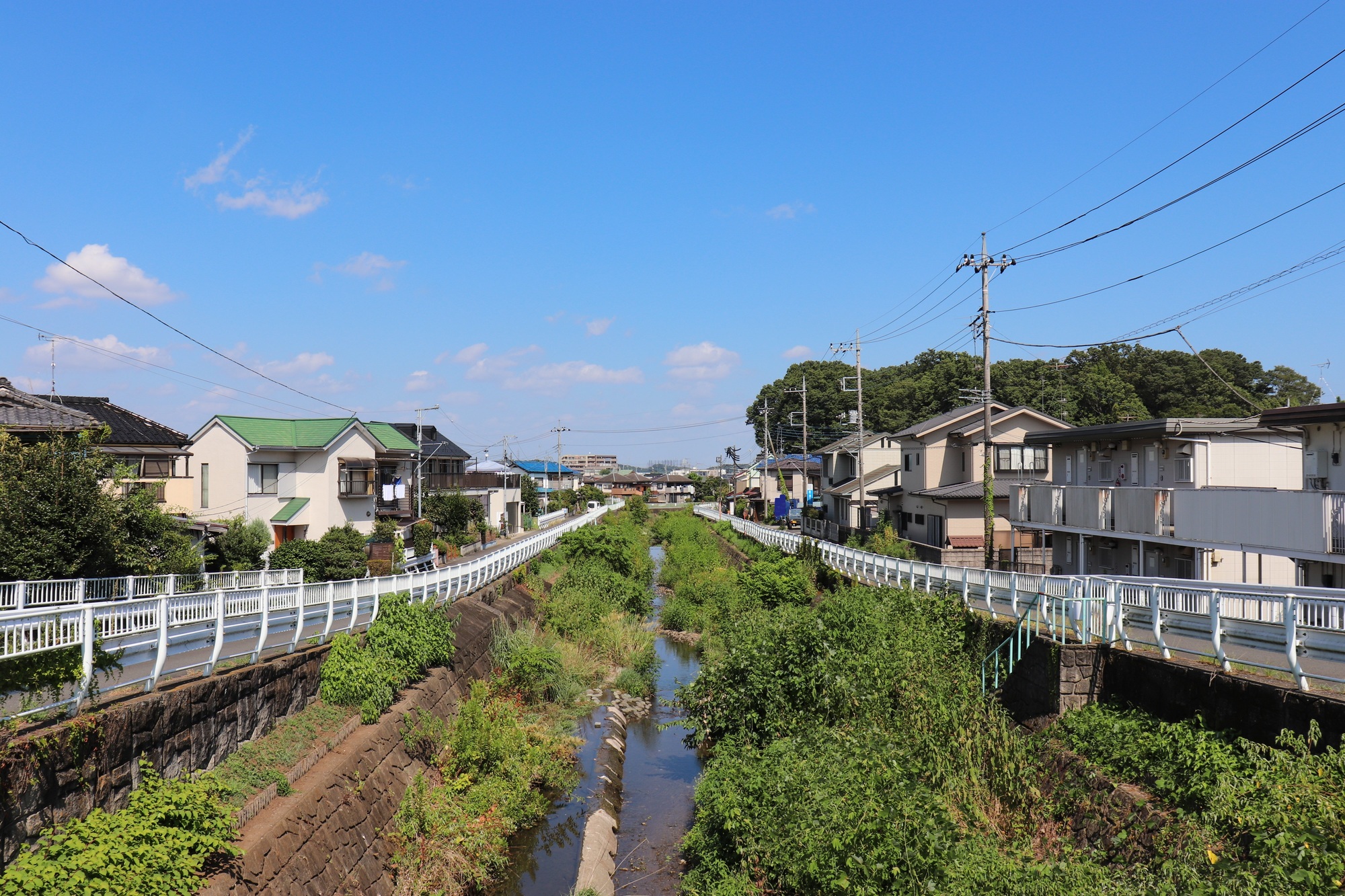 城山川(多摩川水系)ライブカメラ一覧