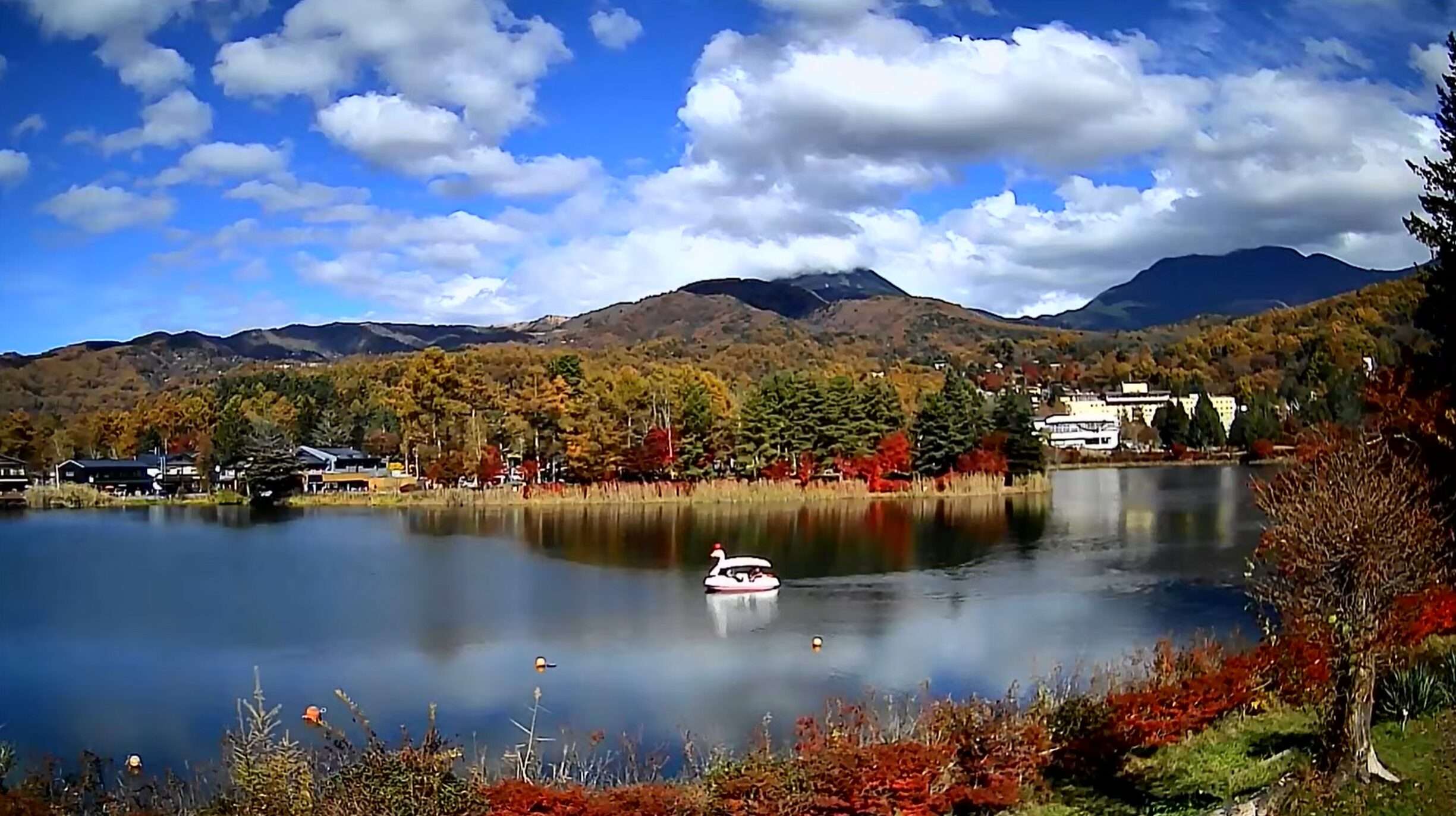 蓼の花蓼科湖畔蓼科山北横岳方向ライブカメラ(長野県茅野市北山)