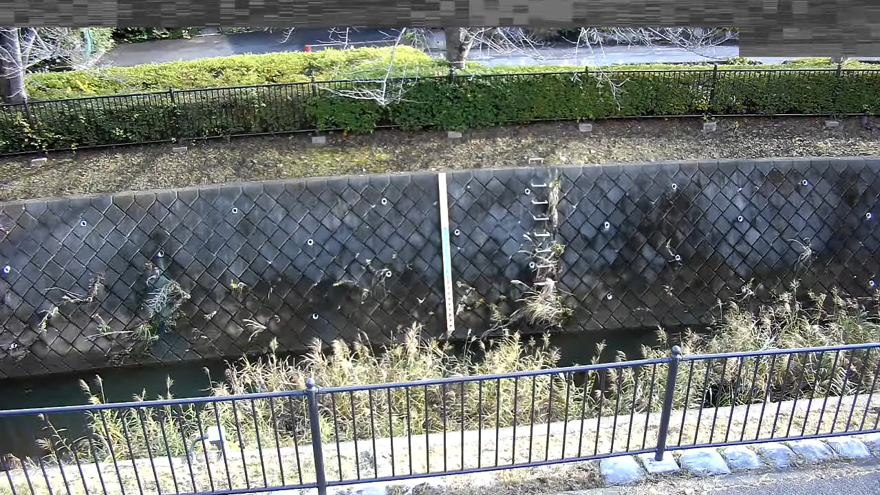 兵衛川兵衛橋ライブカメラ(東京都八王子市片倉町)