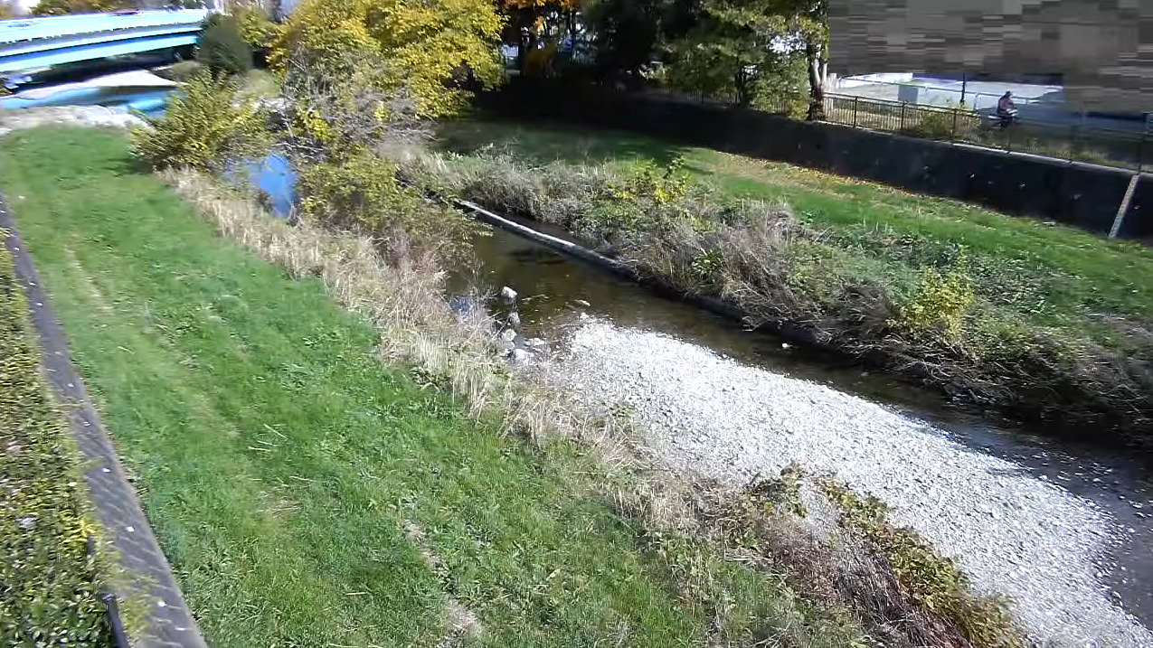 空堀川野塩橋ライブカメラ(東京都清瀬市梅園)