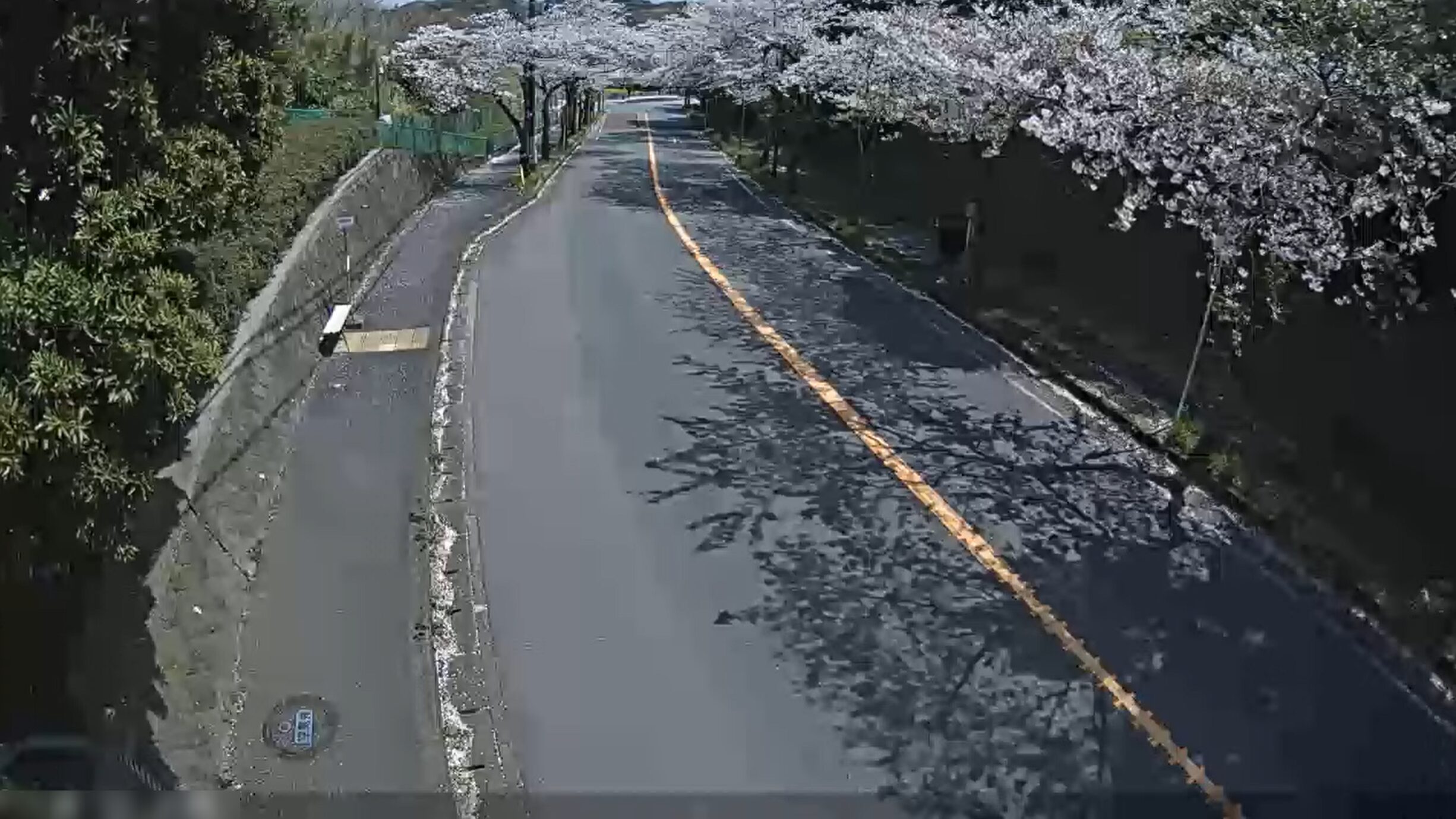 NTT横須賀研究開発センター南門前ライブカメラ(神奈川県横須賀市長沢)