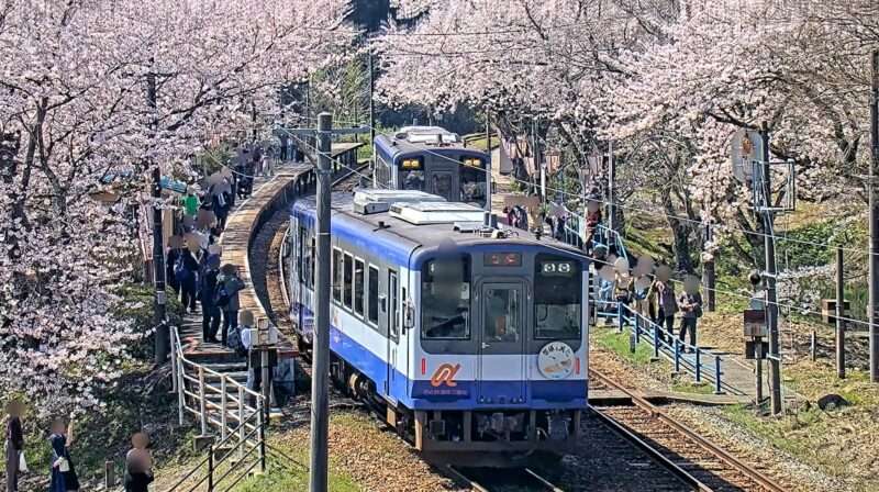能登鹿島駅ライブカメラ(石川県穴水町曽福) 2026年4月6日 能登鹿島駅の桜