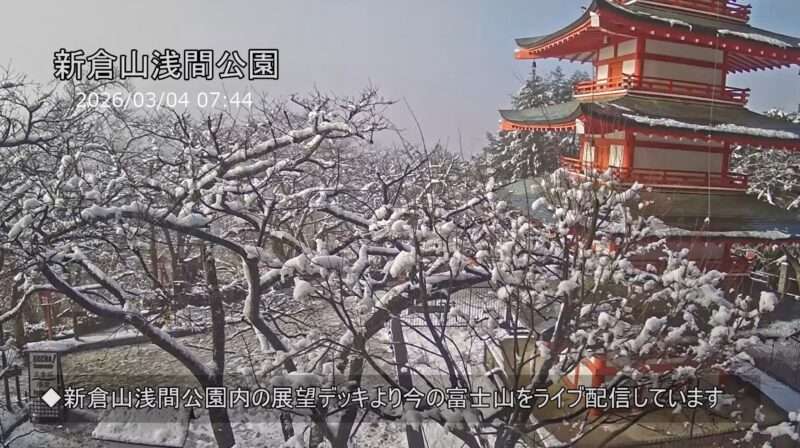 新倉山浅間公園展望デッキライブカメラ(山梨県富士吉田市新倉) 2026年3月4日 降雪の新倉山浅間公園
