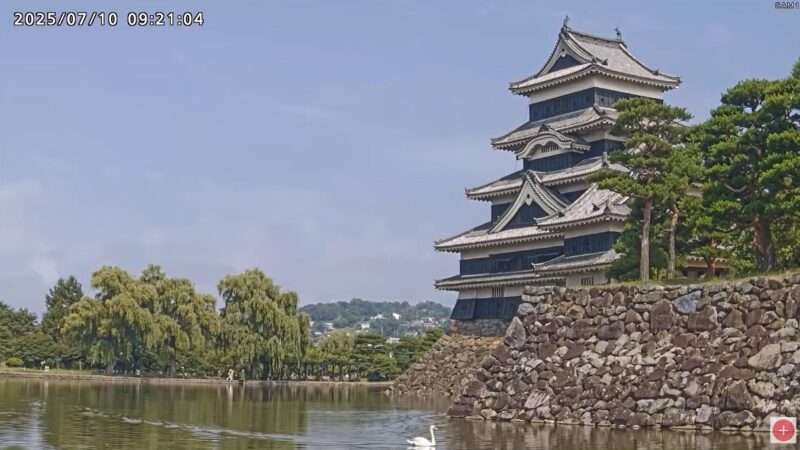 2025年7月10日(木) 白鳥と国宝松本城 松本城天守ライブカメラ(長野県松本市丸の内)