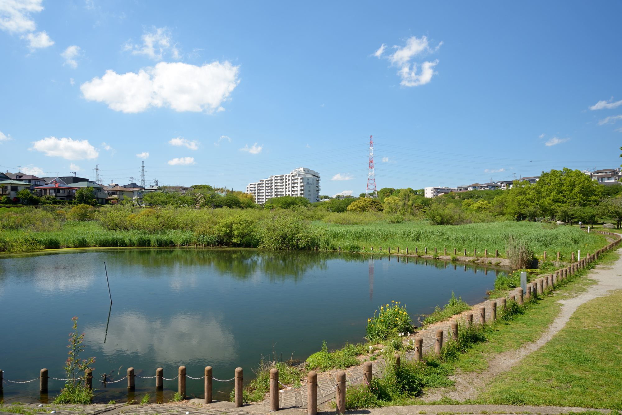 長津川(海老川水系)ライブカメラ一覧