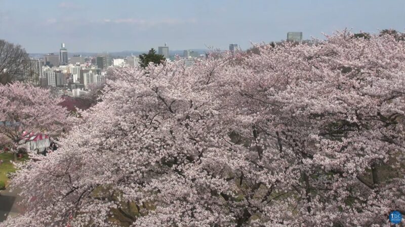 tbc東北放送ライブカメラ(宮城県仙台市太白区八木山香澄町)