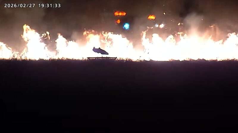 渡良瀬遊水地北エントランスコウノトリライブカメラ(栃木県栃木市藤岡町内野) 2026年2月27日 渡良瀬遊水地の火災とコウノトリペア