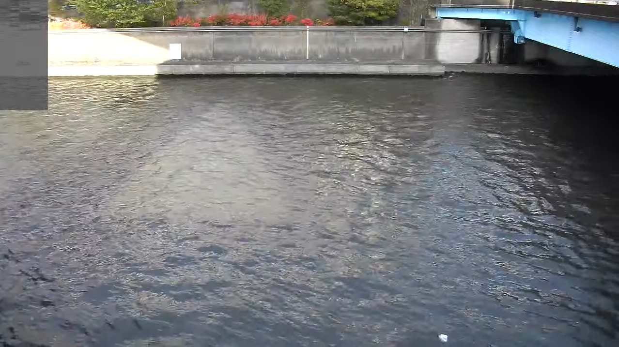 綾瀬川水戸橋ライブカメラ(東京都葛飾区小菅)