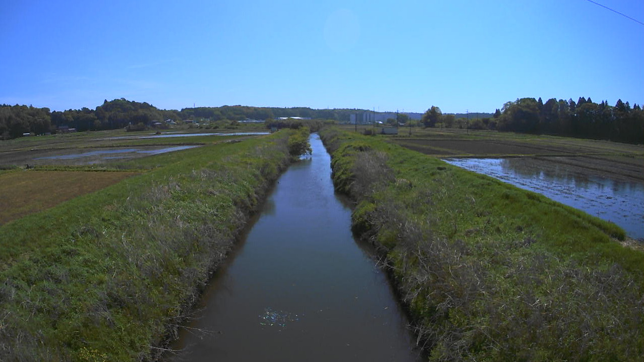 鹿島川馬渡ライブカメラ(千葉県佐倉市馬渡)