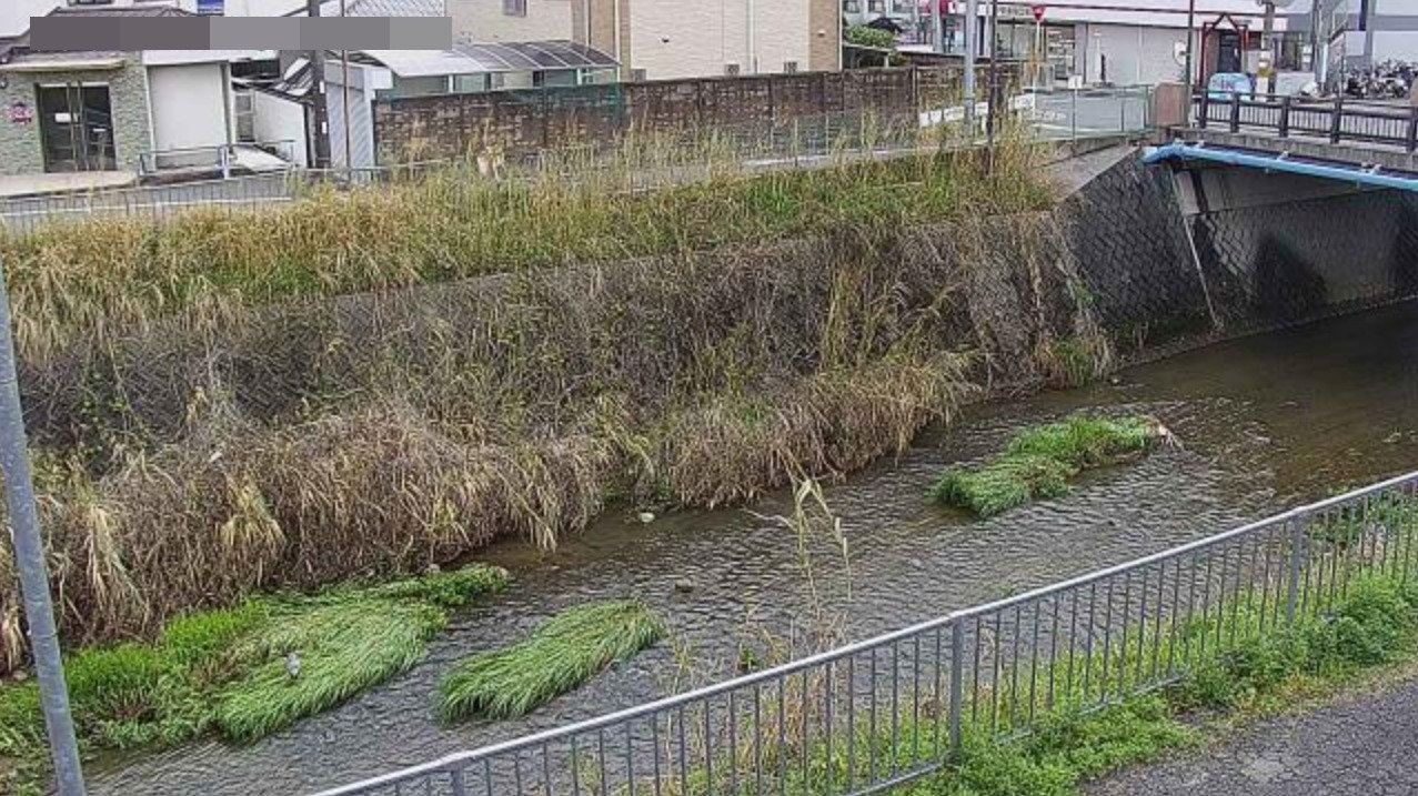 西除川金剛橋ライブカメラ(大阪府大阪狭山市半田)