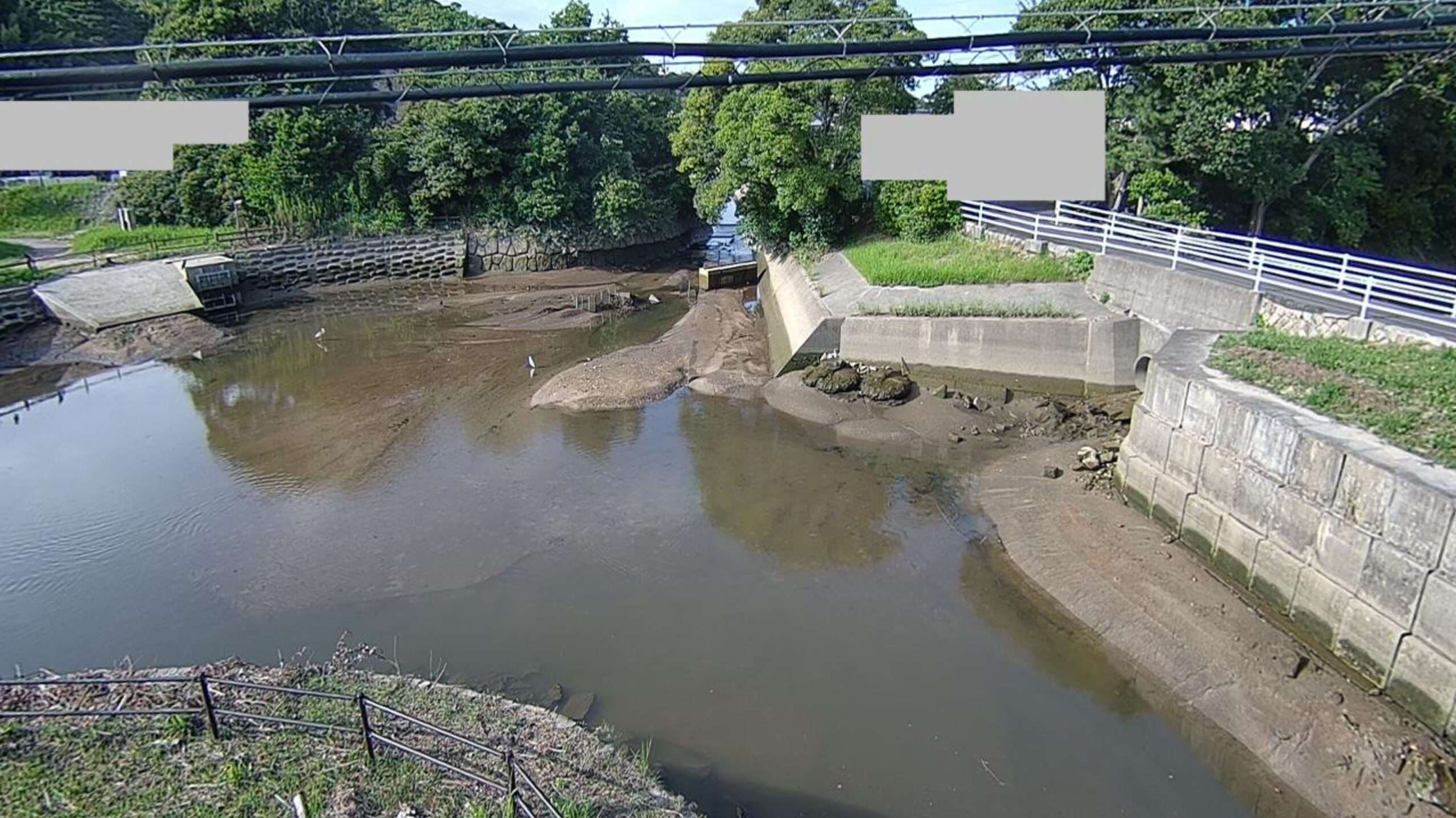 永田川能美町鹿川ライブカメラ(広島県江田島市能美町鹿川)
