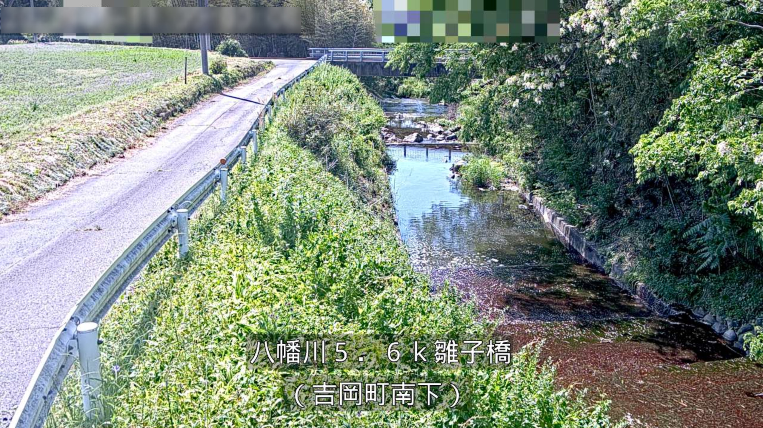 八幡川雛子橋ライブカメラ(群馬県吉岡町南下)